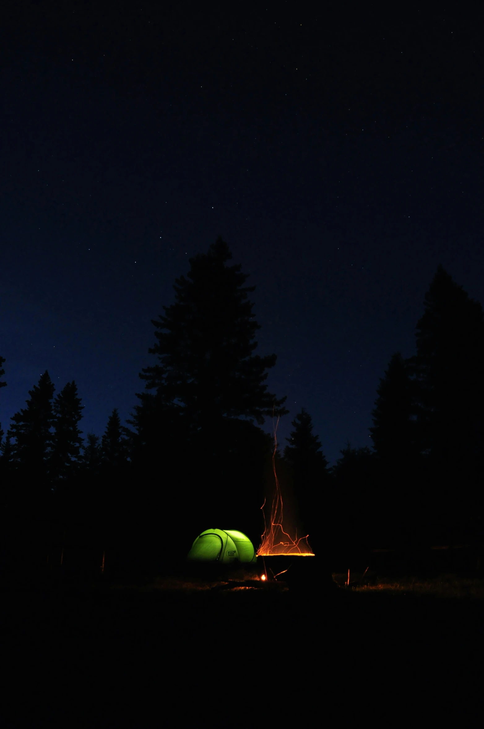 a green tent is glowing at night in a forest