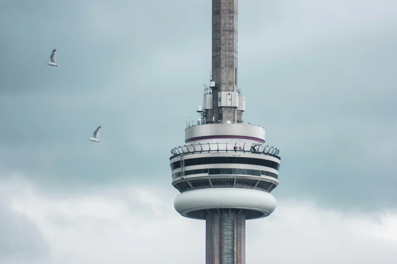 two birds fly by an observation tower