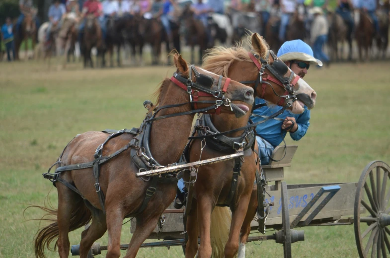 two clydesdales are being pulled by a small cart