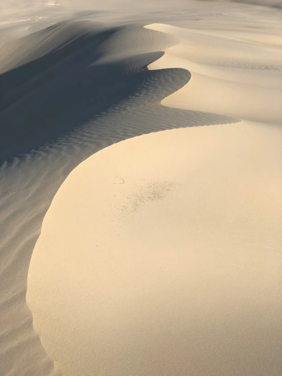 two birds flying over a large sandy area