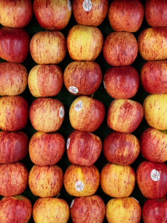 red and yellow apples are stacked up neatly