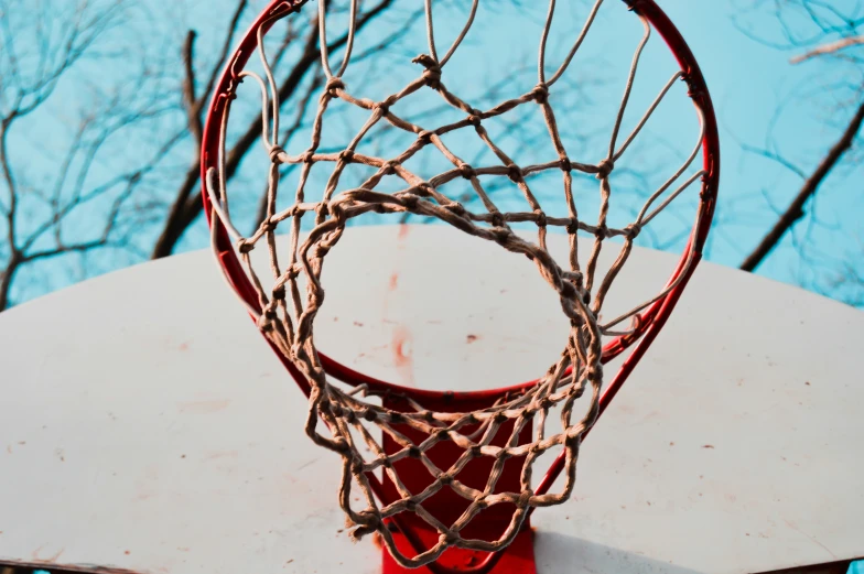 a close - up of a basketball hoop and net against a tree