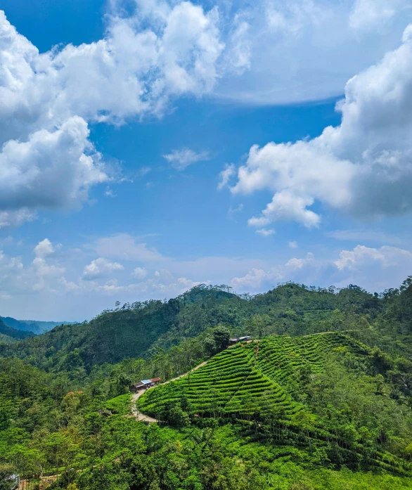 an amazing view of the surrounding trees, hills, and a river