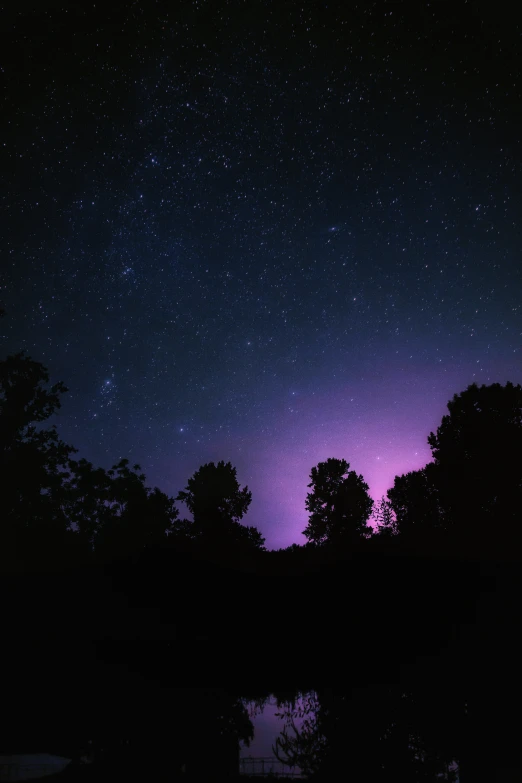 the night sky with stars above trees and water