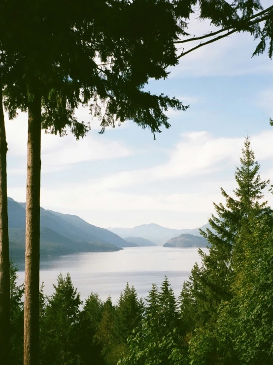 trees and mountains overlook a lake with mountains in the background