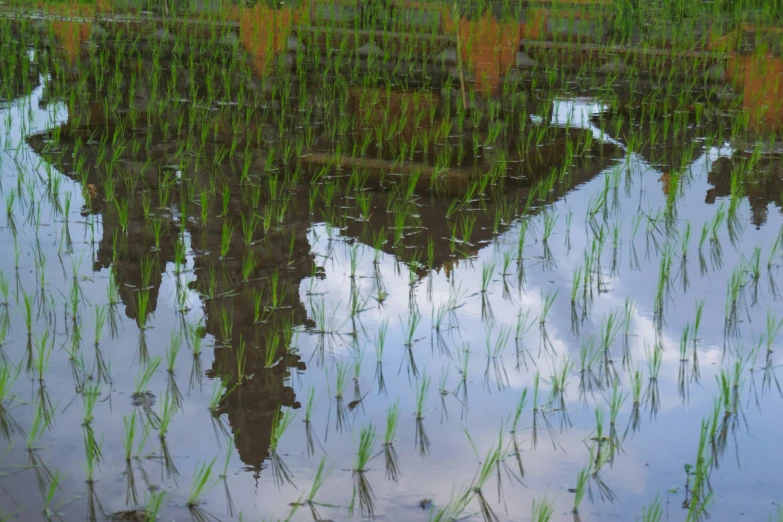 a reflection of the mountain range in the water