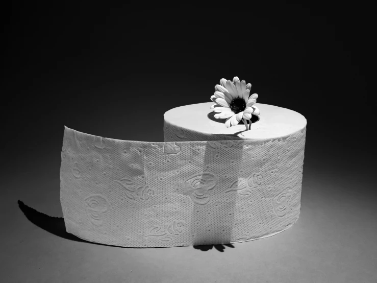 a close up of two toilet paper rolls with a flower on top