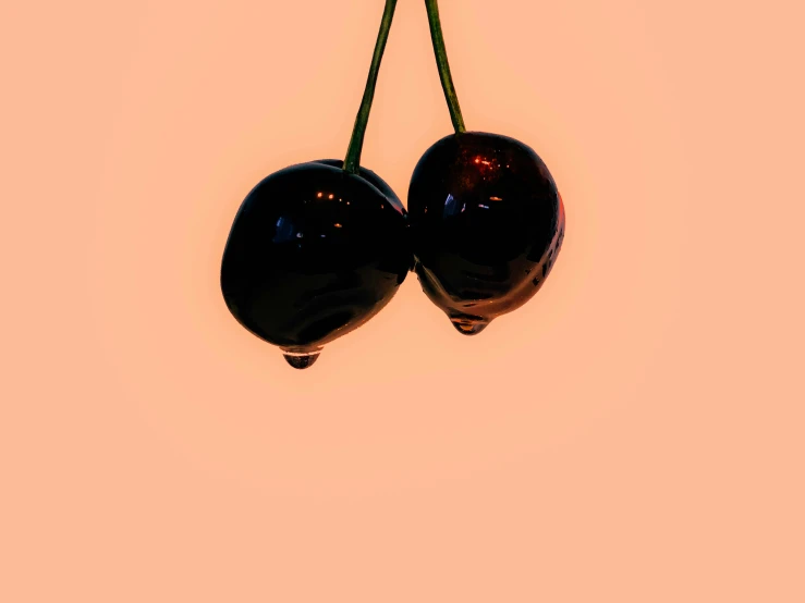 two black fruits hanging upside down on a light peach wall