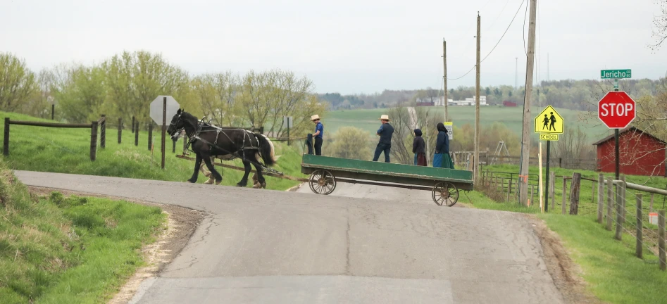 horses pulling a wagon down the side of the road