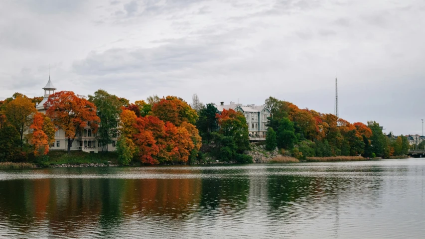 a large body of water filled with trees and buildings