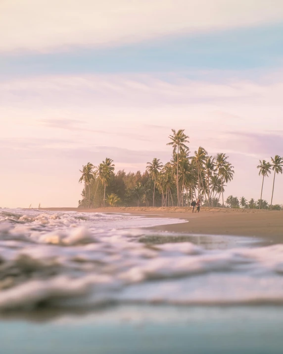 the waves roll on a beach next to trees