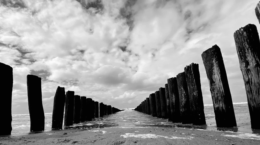 black and white pograph of wooden posts in the ocean