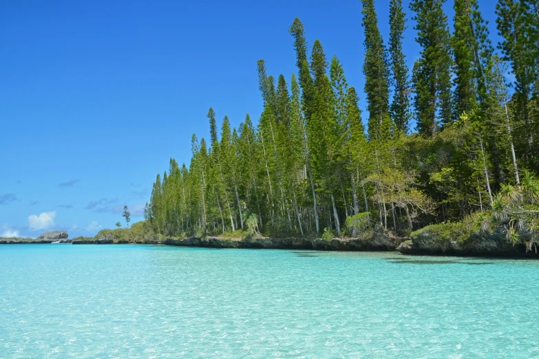 the blue water is shallow in the middle of the forest