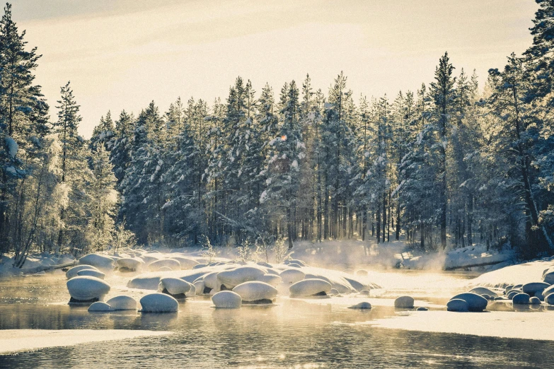 the sun shines on the frozen surface in front of some pine trees