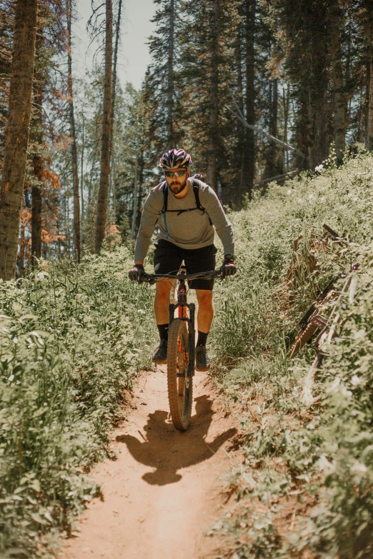 a man on a bicycle riding through a grassy area