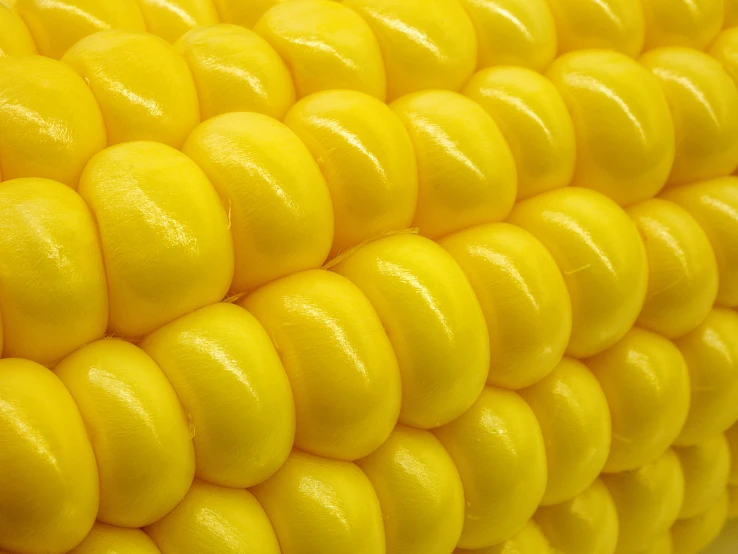 corn cobs that are yellow in color