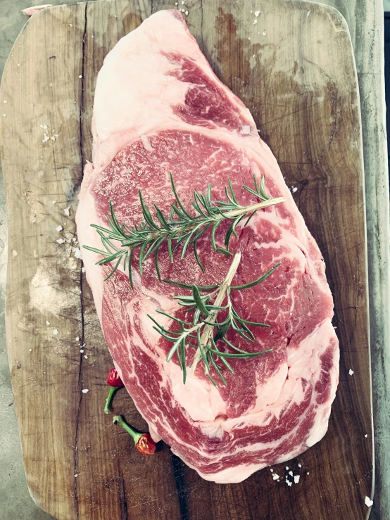 fresh raw steak with spices and rosemary on a  board