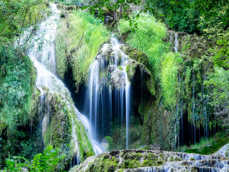 waterfall in the middle of green forest with green plants on top