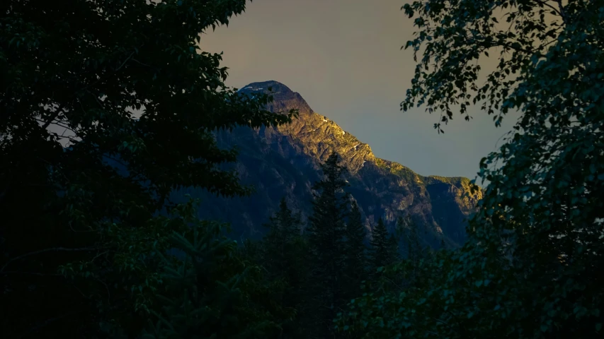 the setting sun shining on a mountain seen through a group of trees