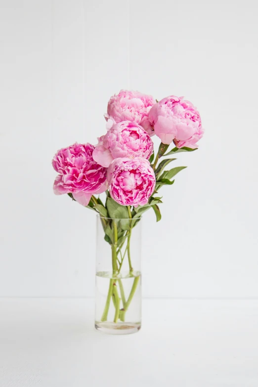 the pink flowers are in the vase on the table