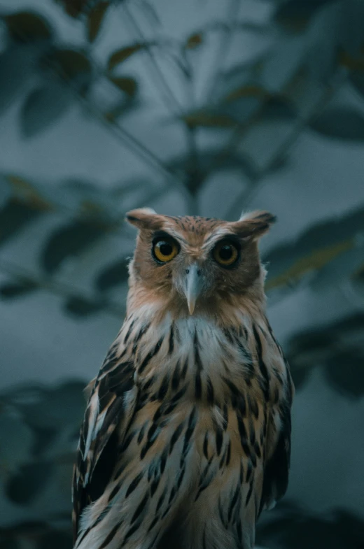 a large bird standing on top of a tree