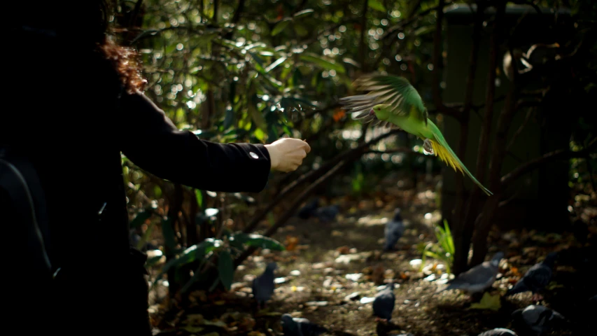 a green bird flying near a woman and leaves