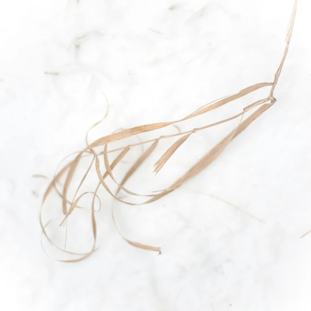 an elegant, light golden thread laying on a white marble surface