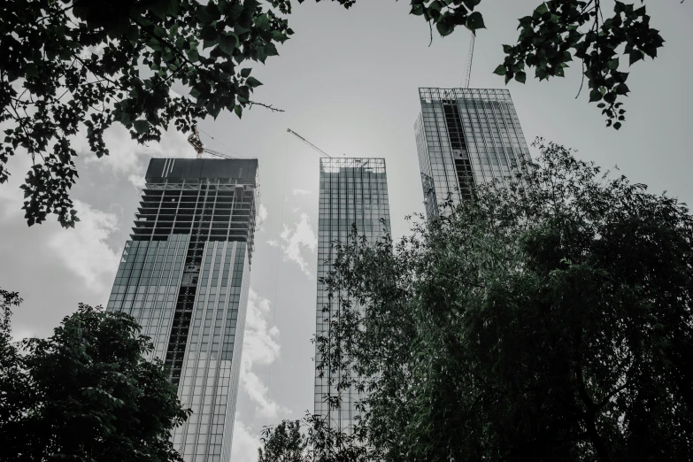 a group of skyscrs towering into the sky with trees below