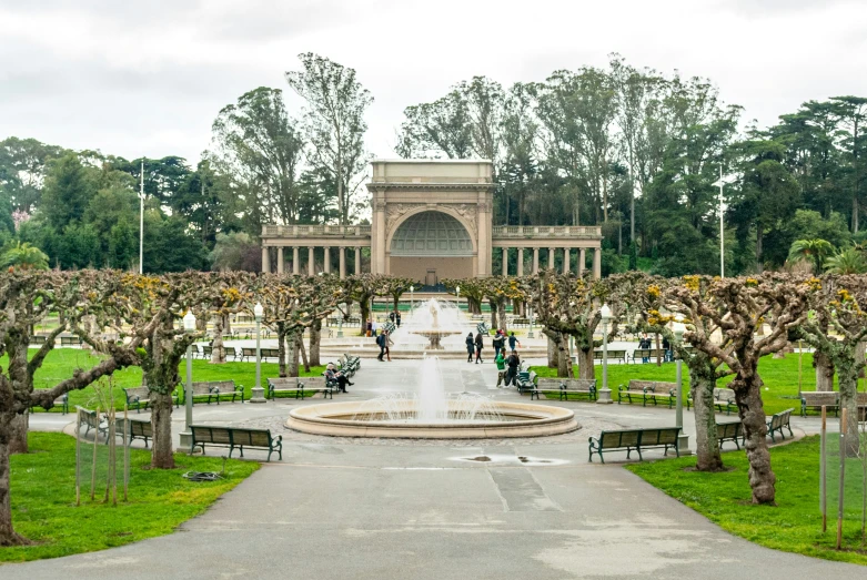 the view of a garden area with various trees