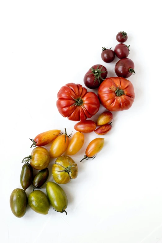 several different kinds of tomatoes on a white surface