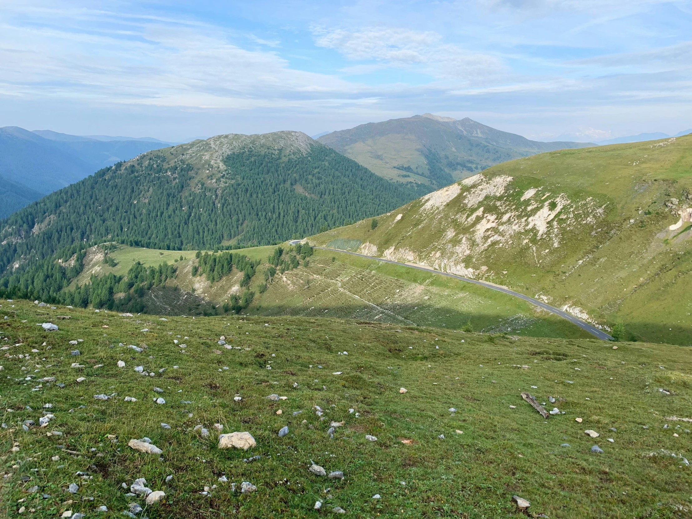 an empty field with bushes and rocks on the ground