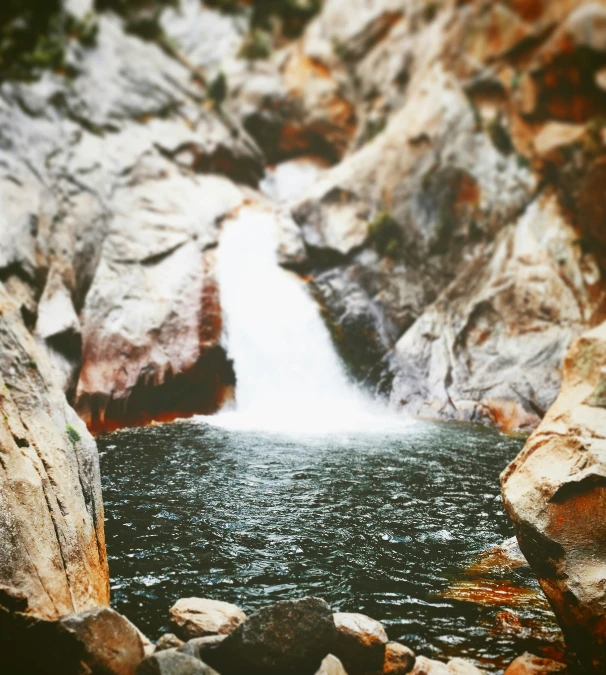 some rocks water plants and water and a waterfall