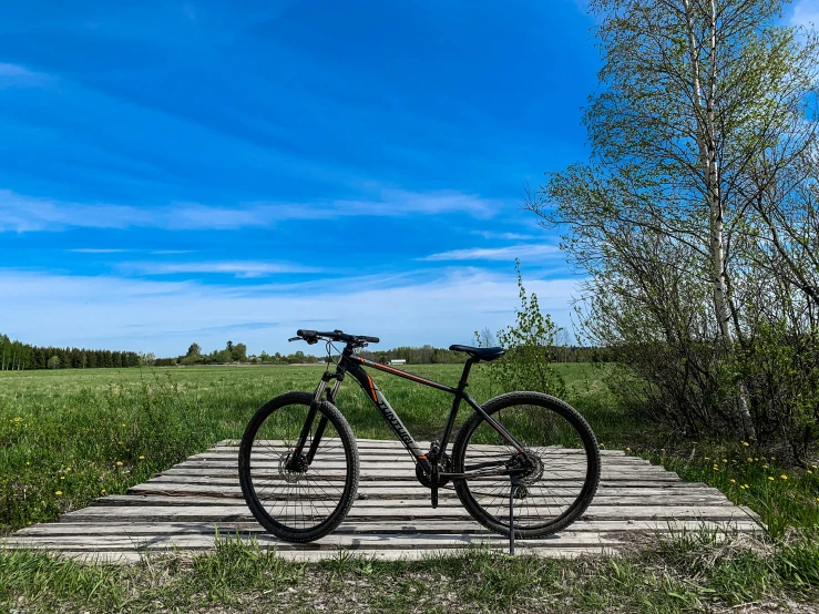 there is a bicycle parked in the grass next to a small walkway