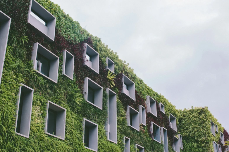 a vertical green wall showing plants and air vents