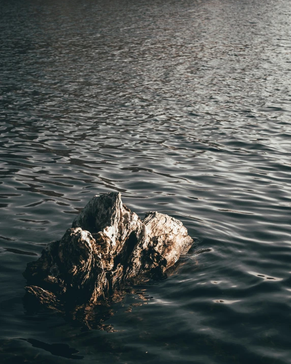 the water with the rock is calm and dark