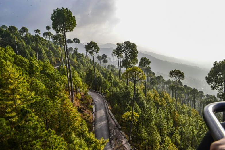 the train moves along the tracks in the tropical forest