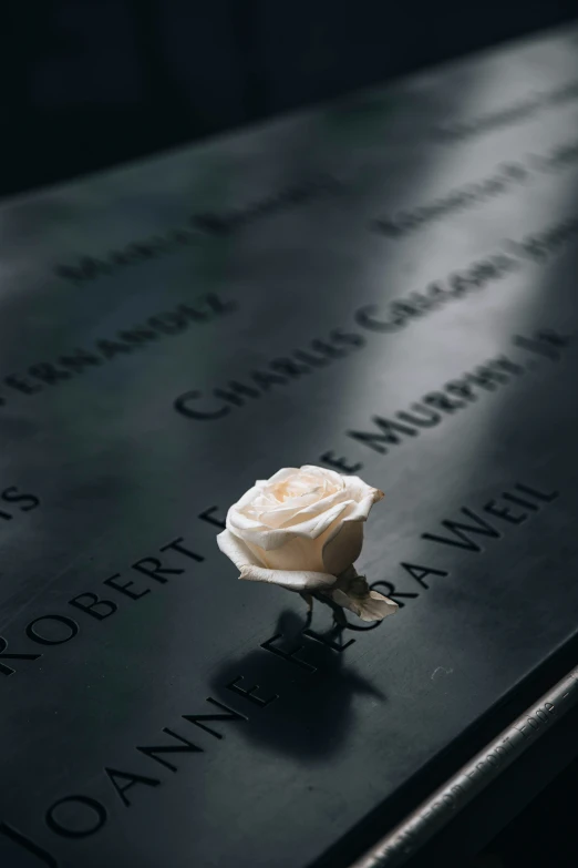 a lone rose is placed on the side of a memorial