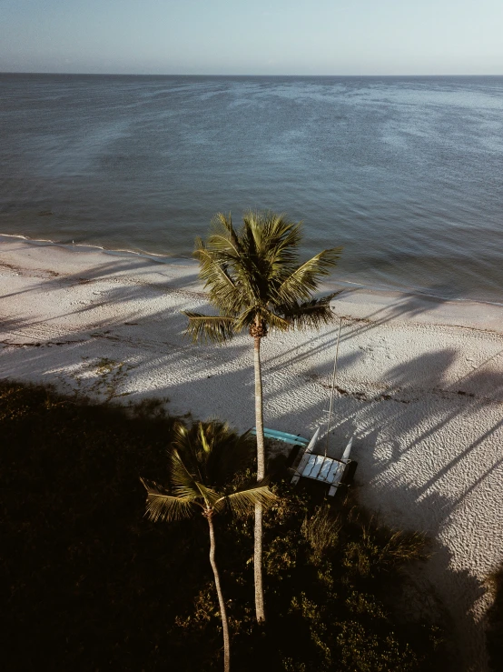 a view of an open air area with water and a tree