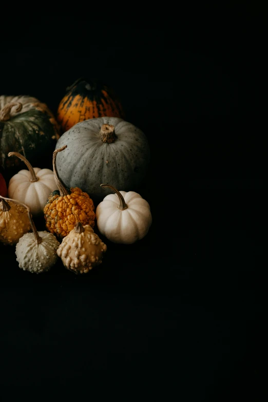 a collection of autumn vegetables sitting on a black surface