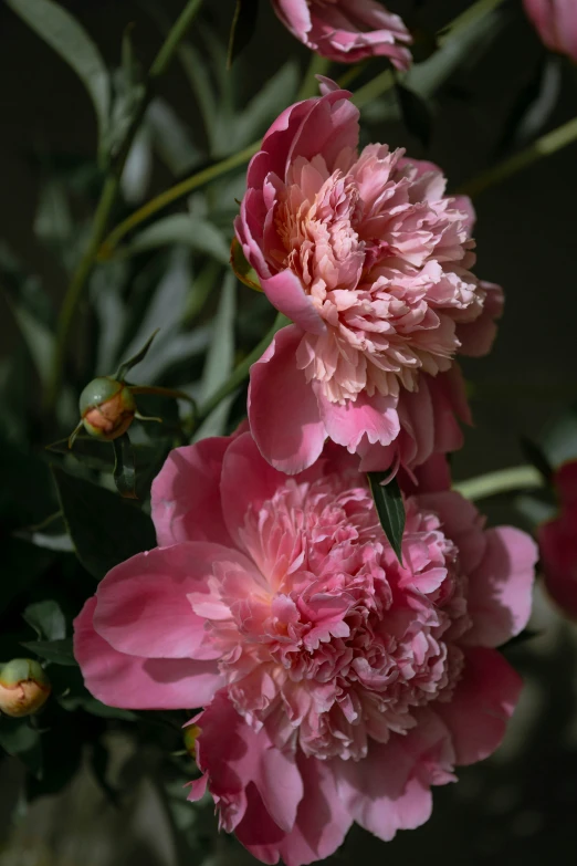 a bunch of pink flowers that are on a table