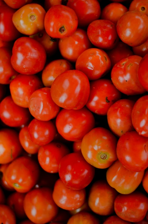 a large stack of orange tomatoes, each with one green tomato in them