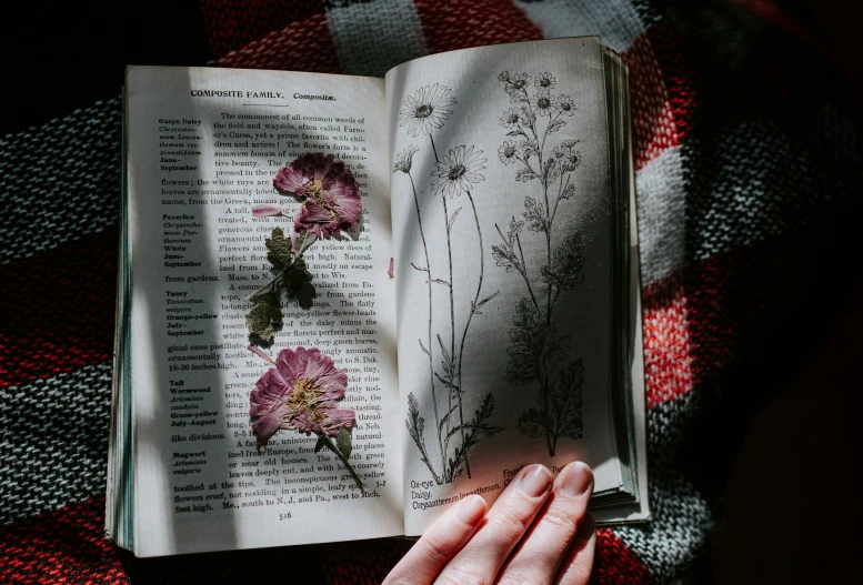 there is a book that has flowers on it