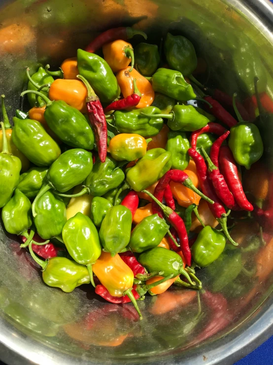 a big pot full of green peppers