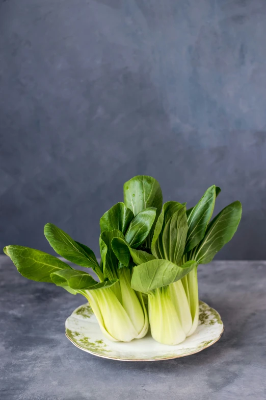 a bunch of green flowers that are sitting on a plate