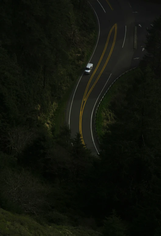 the road is winding beside some very pretty trees