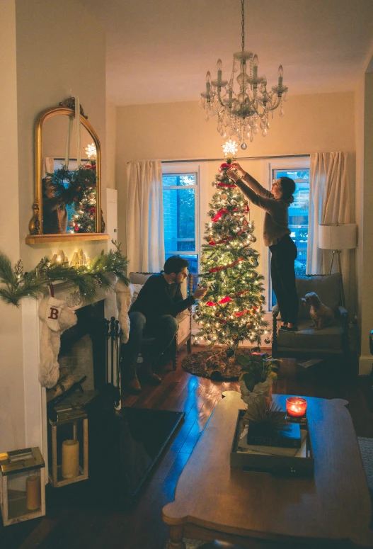 a tree that is in the corner by a window