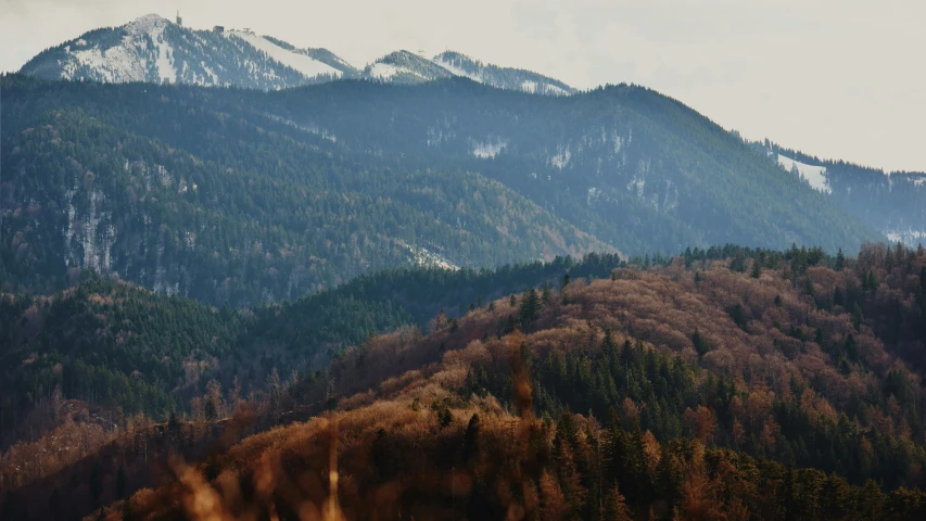 some snow covered mountains and trees on a cloudy day