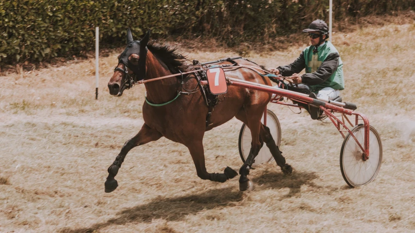 a man driving a horse pulling a carriage