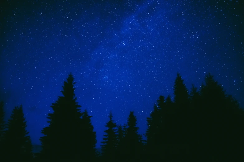 some very beautiful sky full of stars with the trees