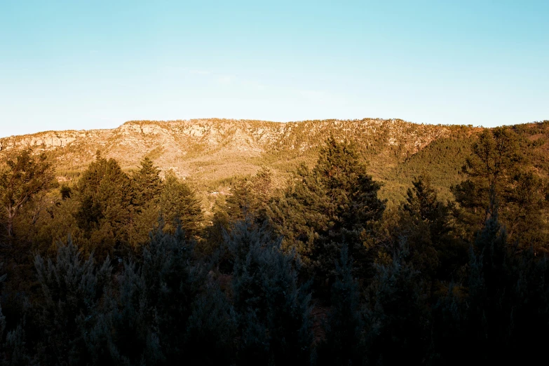 a mountain with several trees against a clear blue sky